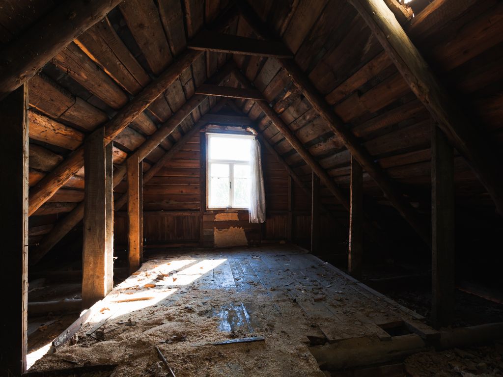 Moldy Attic | Vip Pests | Grants Pass